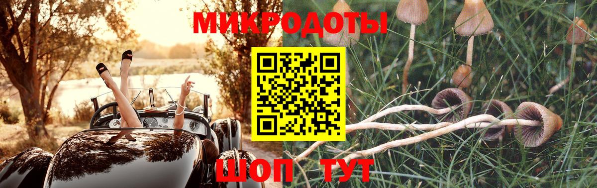 Орехово-Зуево  Псилоцибиновые грибы GOLDEN TEACHER  Псилоцибиновые грибы Magic Shrooms  Вход с VPN 