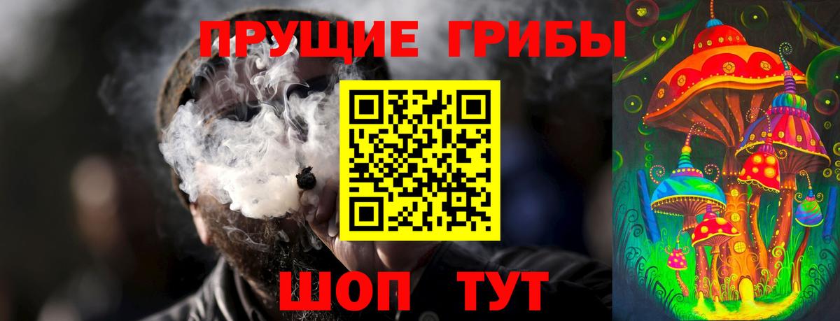 Псилоцибиновые грибы GOLDEN TEACHER Орехово-Зуево